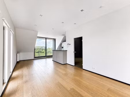lumineux appartement 1 chambre avec terrasse et parking