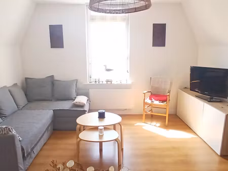 appartement 1 chambre