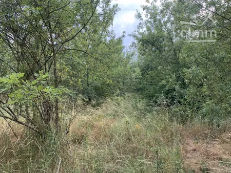 à vendre terrain de 44 000 m² en bordure de rivière
