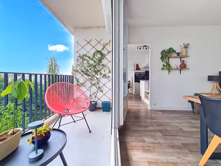 appartement t2bis  angers centre