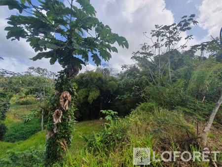 a vendre : terrain constructible de 604 m² environ à ducos