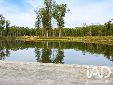 vente terrain 200000 m² colomiers (31770)