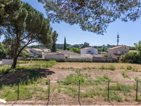 vente terrain 1000 m² juvignac (34990)