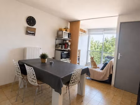 vente appartement 1 pièce 23 m² fleury (11560)