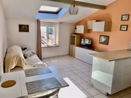 location appartement 1 pièce 30 m² à trévoux (01600)