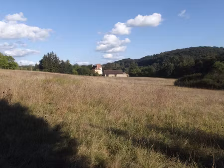 vente terrain 4911 m² issac (24400)