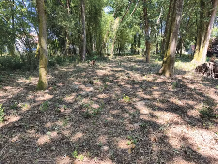 vente terrain 2069 m² saint-augustin (17570)