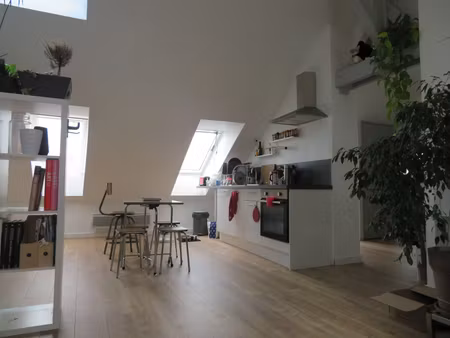 charmant t2 45m² (74m² utile) lille centre