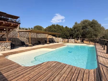 vente maison 10 pièces 252 m² petreto-bicchisano (20140)