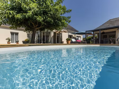 vente maison 7 pièces 255m2 mont 64300 - 495000 € - surface privée