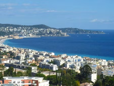 location appartement 1 pièce 41 m² à nice (06200)