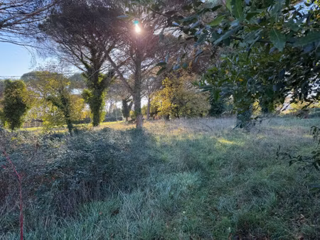 vente terrain 1080 m² langon (33210)