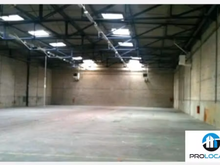 local d'activite - entrepot a louer