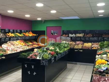 local commercial a vendre