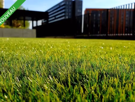 local d'activite - atelier 1000m2