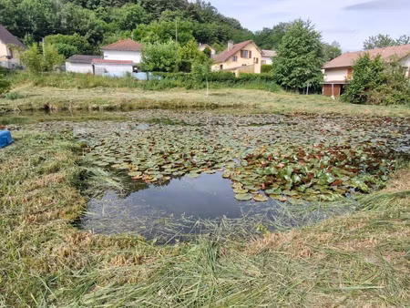 terrain à vendre