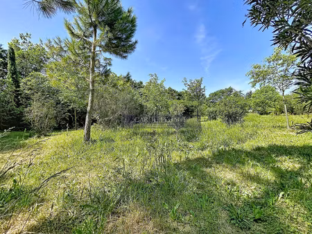 terrain constructible viabilisé à vendre