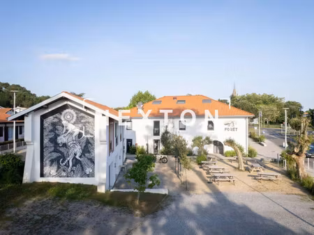 nexton immobilier