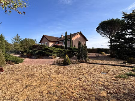 mg immobilier