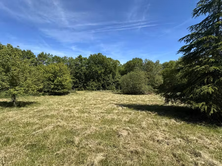 terrain constructible viabilisé à vendre