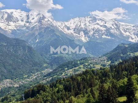 moma immobilier