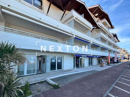 nexton immobilier
