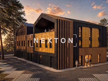nexton immobilier