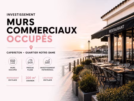 nexton immobilier