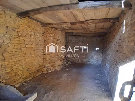 safti vinges lucy conseiller indépendant