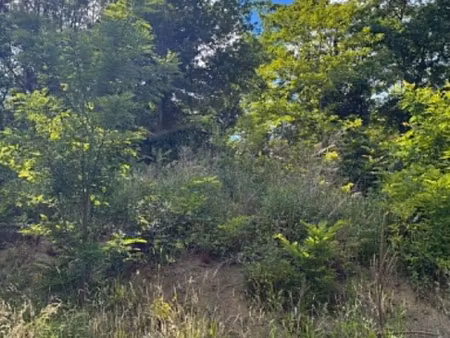terrain constructible viabilisé à vendre