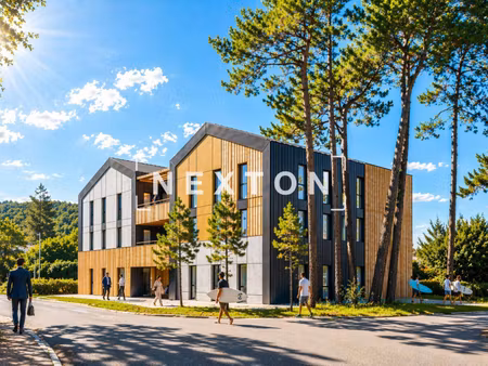nexton immobilier