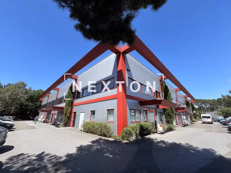nexton immobilier