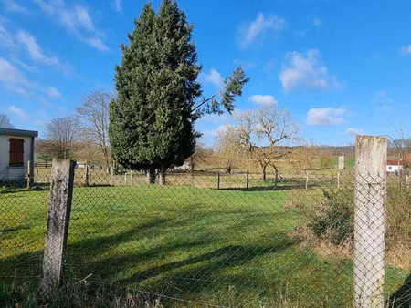 tlg catenne immobilier