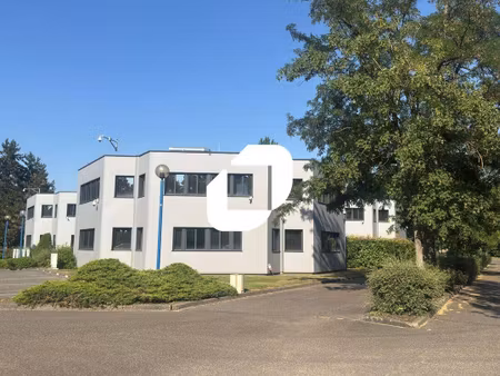 immprove strasbourg