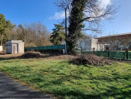 tlg catenne immobilier