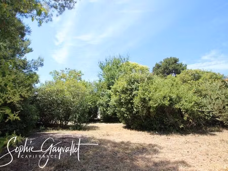 terrain constructible à vendre