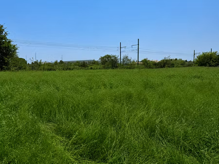 terrain constructible viabilisé à vendre
