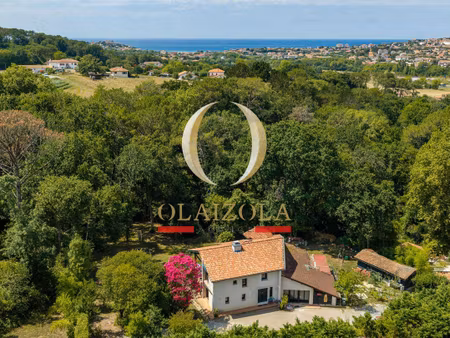 olaizola