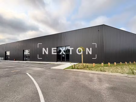 nexton immobilier