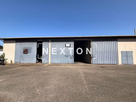 nexton immobilier