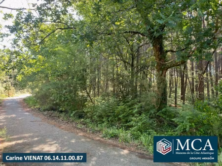terrain constructible viabilisé à vendre
