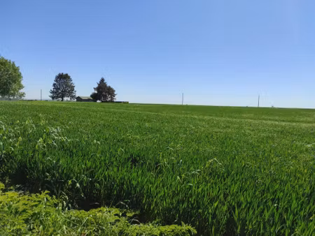 terrain constructible à vendre