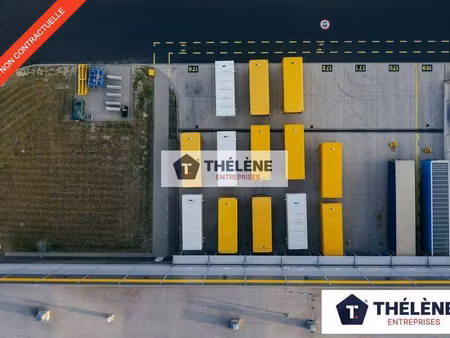 thelene entreprises