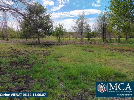 terrain constructible viabilisé à vendre