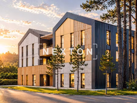 nexton immobilier