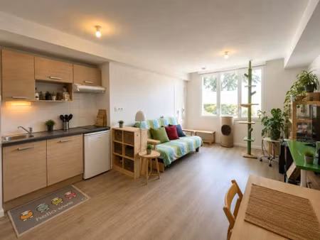 pichet immobilier services location