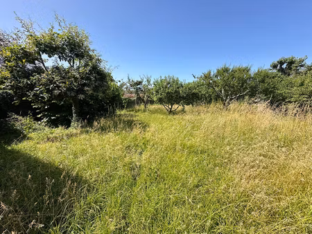 terrain à vendre