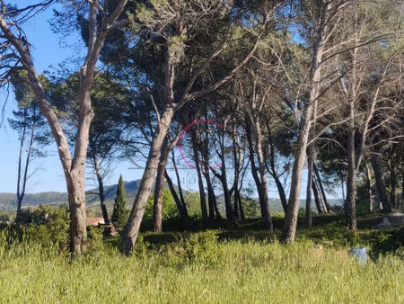 terrain à vendre