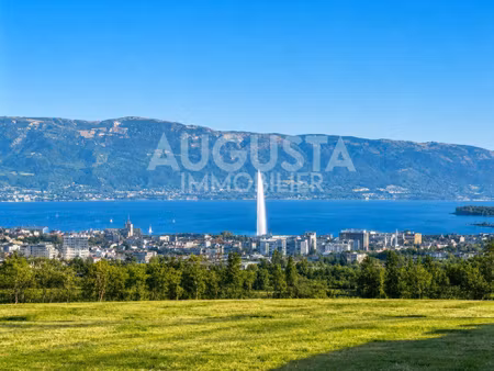 augusta immobilier