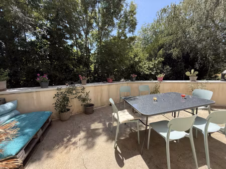 charmante maison avec terrasse  jardinet et dépendance